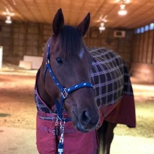 Meet your Posher, Molly